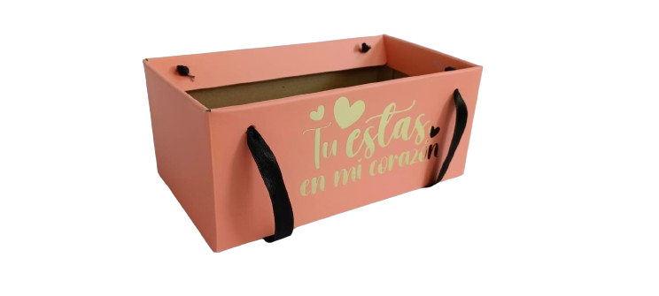 Caja Base Oasis Durazno x 1 unidad