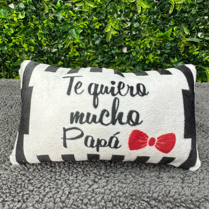 Cojin Mini Te Quiero Mucho Papá x 1 Unidad