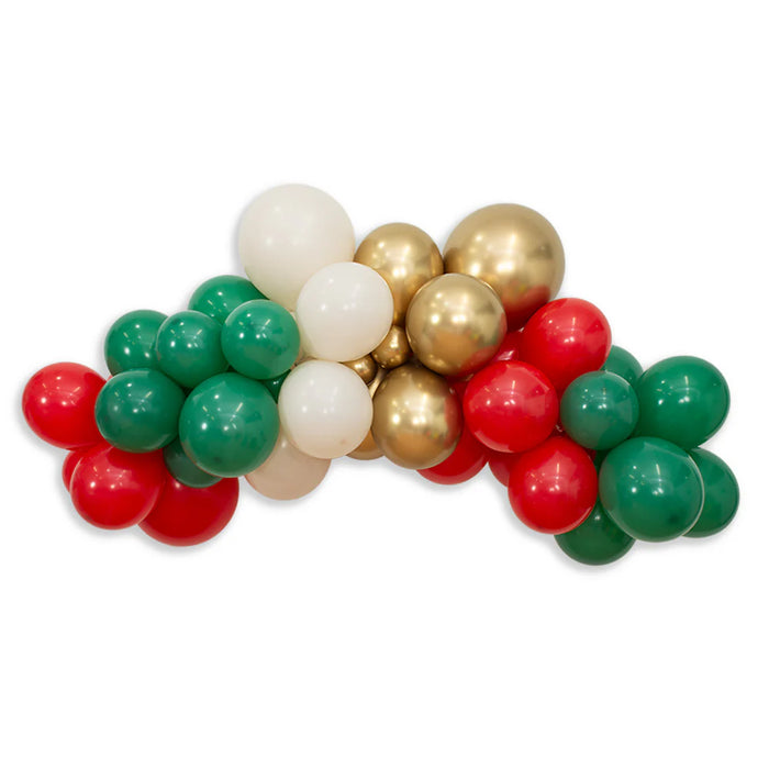 Kit DIY Guirnalda Orgánica Navidad Festiva X 1