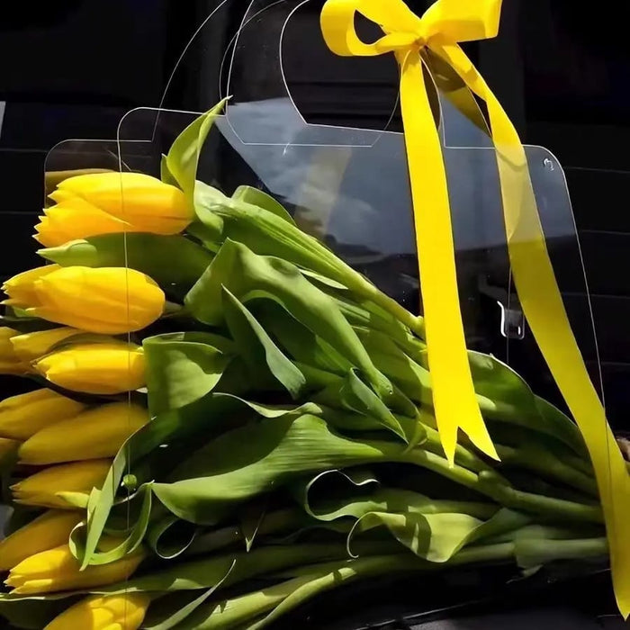 Caja Cartera en Acetato Transparente Ref. 1 x 1 Unidad