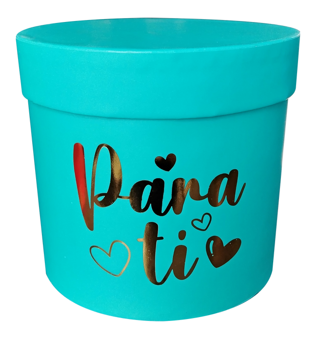 Caja Cilindro Mediana Turquesa Elite x 1 Unidad