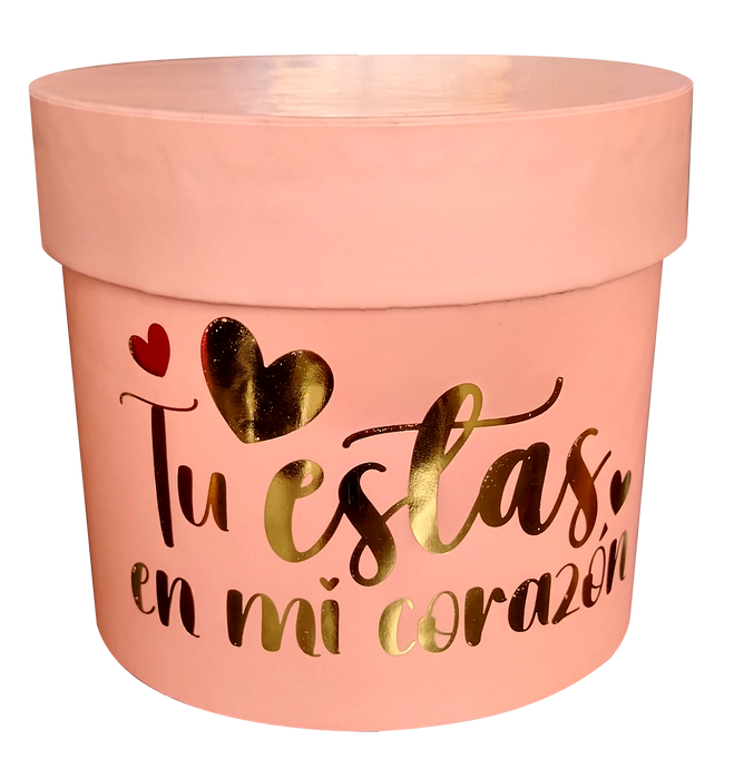 Caja Cilindro Pequeña Curuba Elite x 1 Unidad