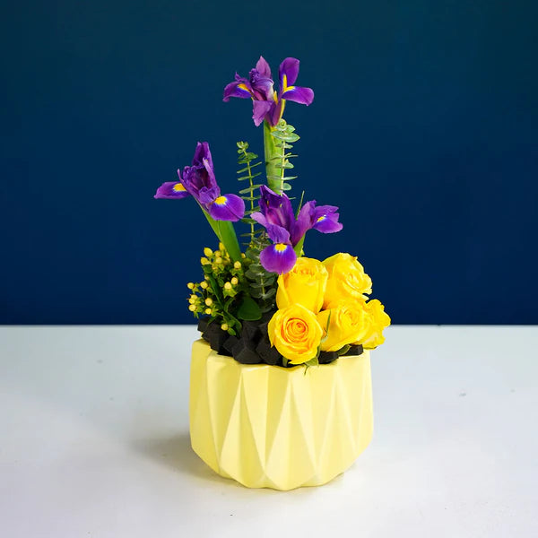 Espuma Floral Oasis® Black Caja X 48 Unidades