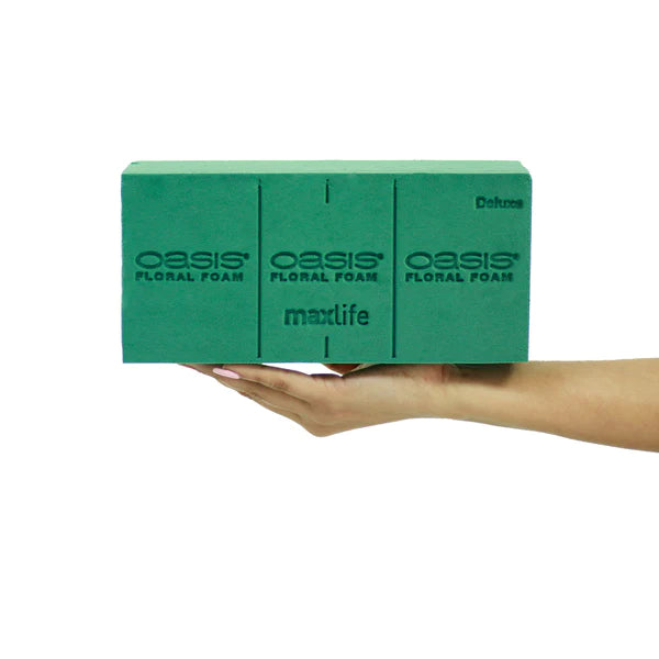 Espuma Floral Oasis® Deluxe Maxlife X 48